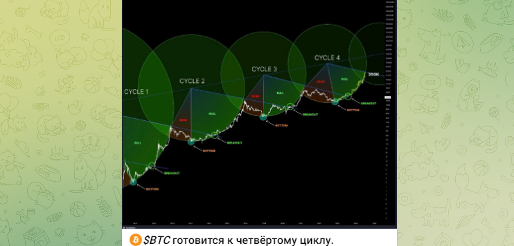 Crypto Market Makers отзывы и проверка!