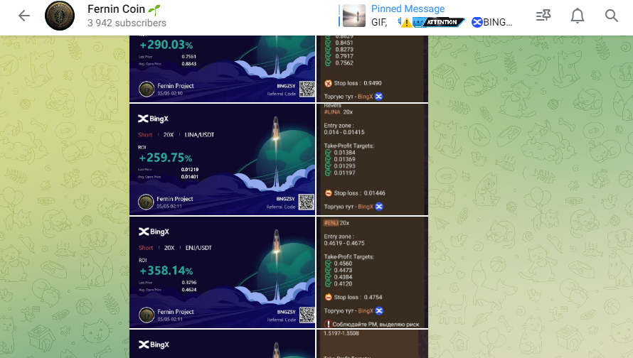 Fernin Coin - это обман или надежный заработок? Отзывы!