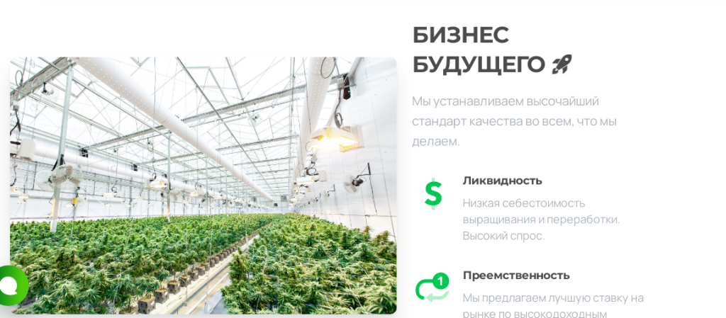 Greenway investments - лохотрон? Отзывы о Greenway!