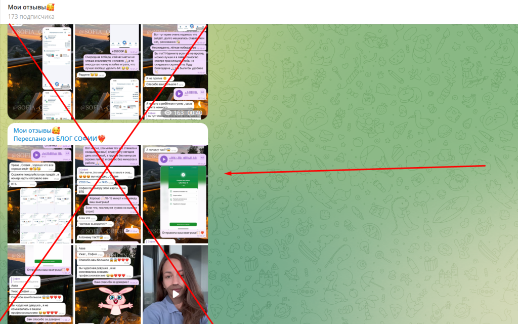 Обман БЛОГ СОФИИ инвестии, кидает на деньги!