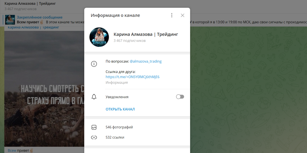Проверка канала Канал Карины Алмазовой | Трейдинг, скам?
