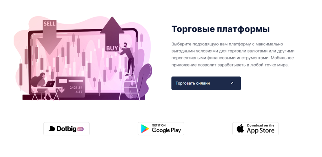 DotBig – очередной развод для трейдеров? Проверка и отзывы!