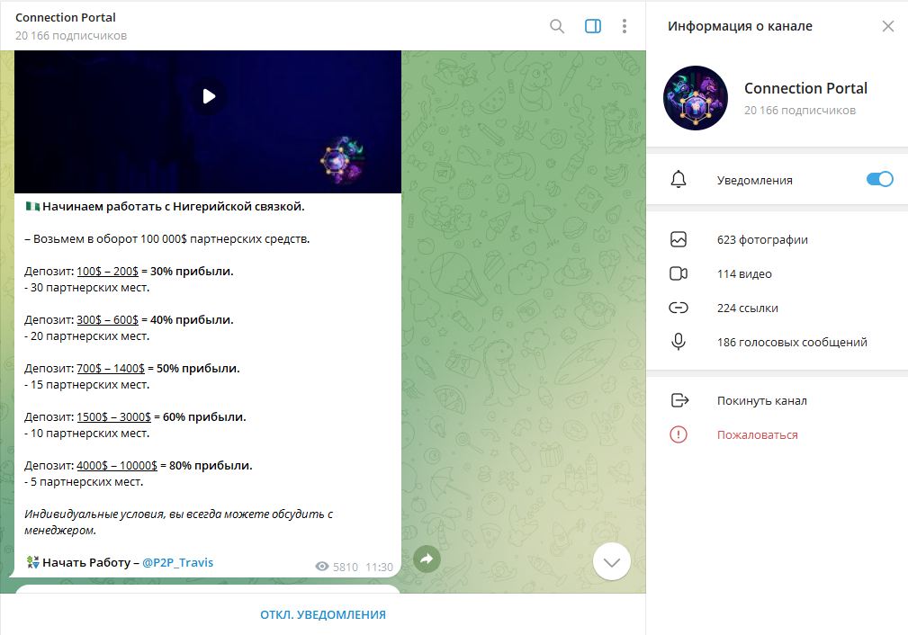 Connection Portal развод или нет, отзывы о ТГ канале