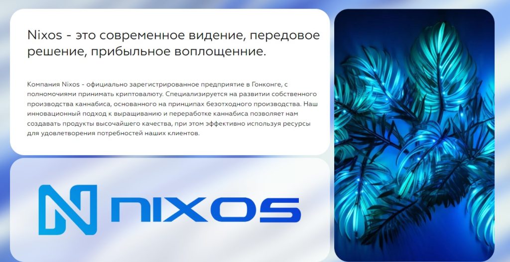  Nixos group не платит - отзыв и обзор!