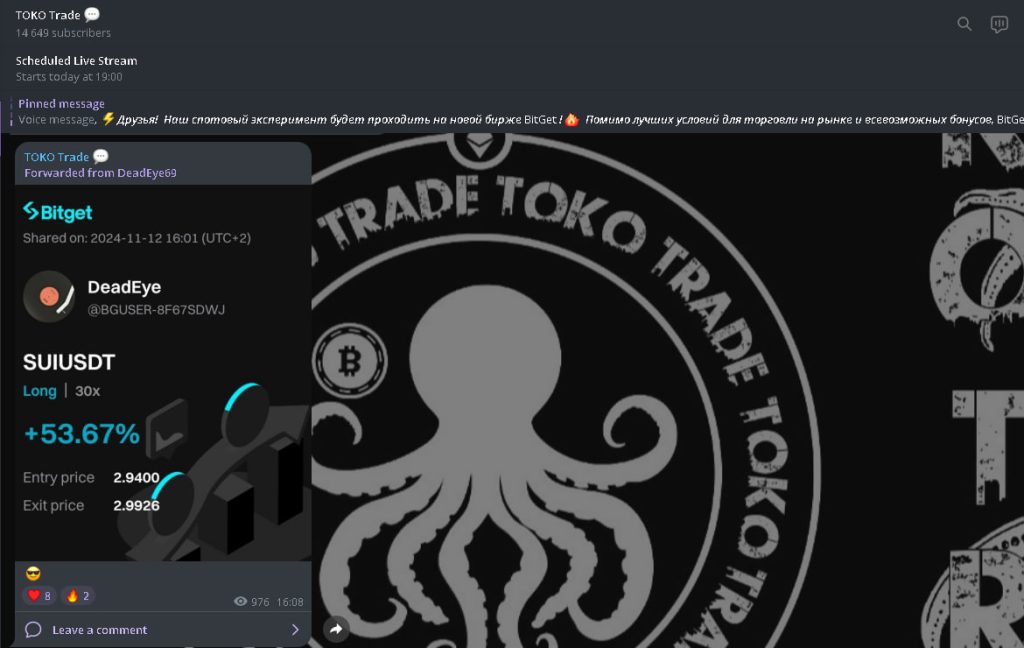 Toko Trade: обзор и отзывы о трейдере Исляме