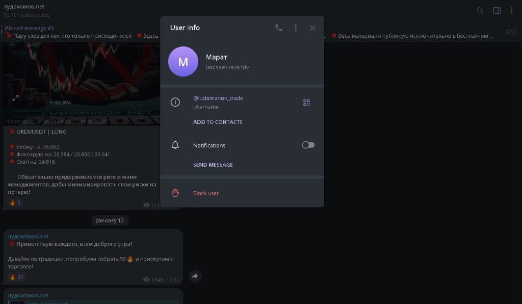 Обзор трейдера Лудоманов нет: разбор , и отзывы