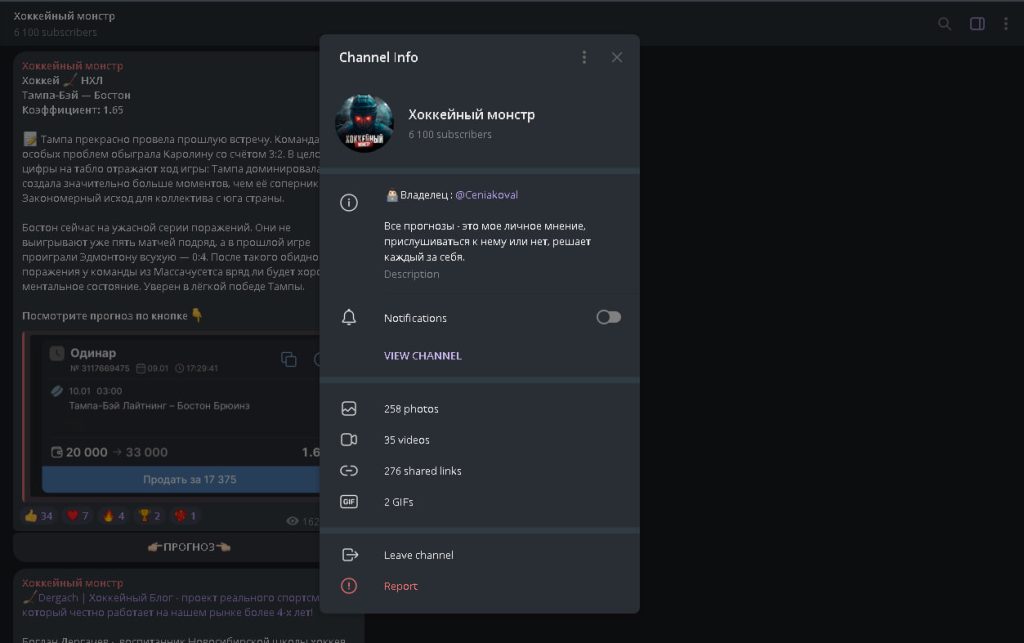 Хоккейный магнат: отзывы и разбор Телеграмм канала каппера